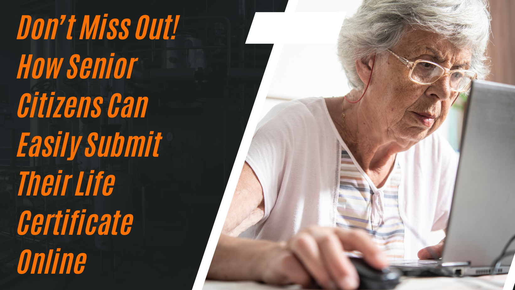 Don’t Miss Out! How Senior Citizens Can Easily Submit Their Life Certificate Online