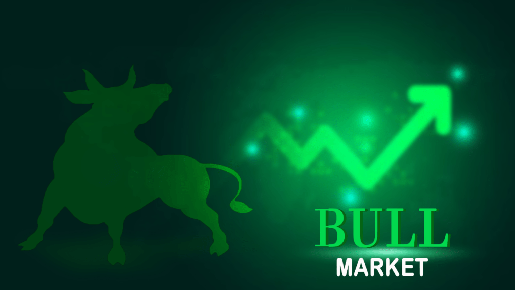 bull