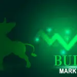 bull