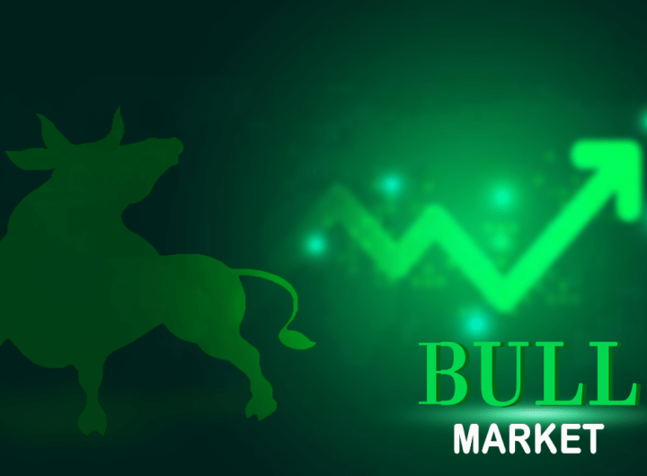 bull