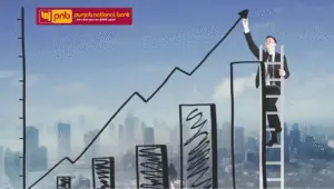 pnb profit