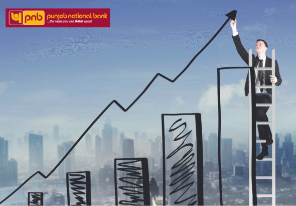 pnb profit