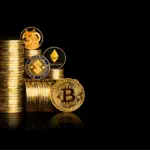 Is Your Money in Crypto? What Percentage of Your Wealth Is Invested in Cryptocurrencies?