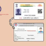 What’s New? What Are the Latest Changes in EPFO Aadhaar UAN Linking on August 13, 2025?