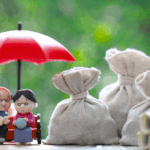 Why Your EPF Might Be at Risk: Late PF Contributions Could Block Your EPF Balance Access