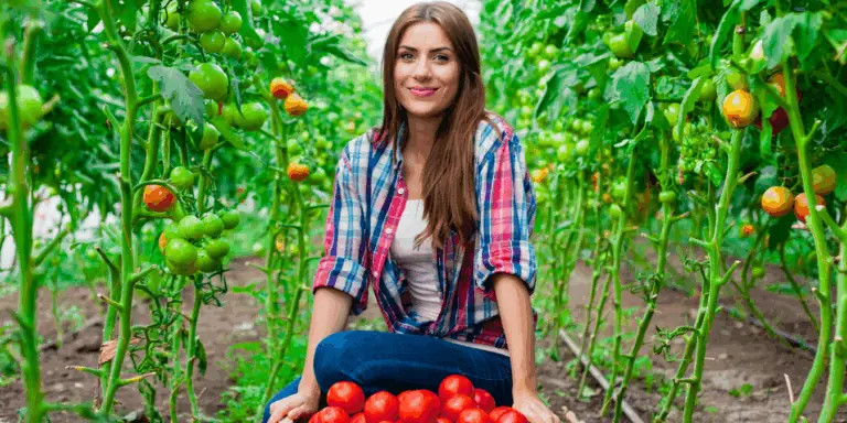 ITAT Ruling 2025: Can Agricultural Income Pay Your Credit Card Bills?