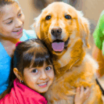 The Hidden Traps in "Best" Pet Insurance: What Indian Pet Parents Need to Know in 2025