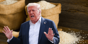The Basmati Betrayal? What Really Sparked Trump’s "Rice Rage" And Why India Should Worry