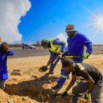 Gold Fever Hits South Africa: How a Cattle Pen in Springs Sparked a Modern-Day Gold Rush