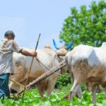 PM Kisan Samman Nidhi: A Lifeline for India's Farmers in 2026