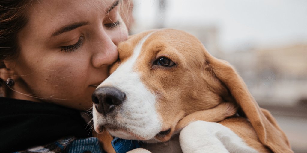 The Hidden Clause in Pet Insurance Policies That Could Cost You Thousands in Emergency Vet Bills