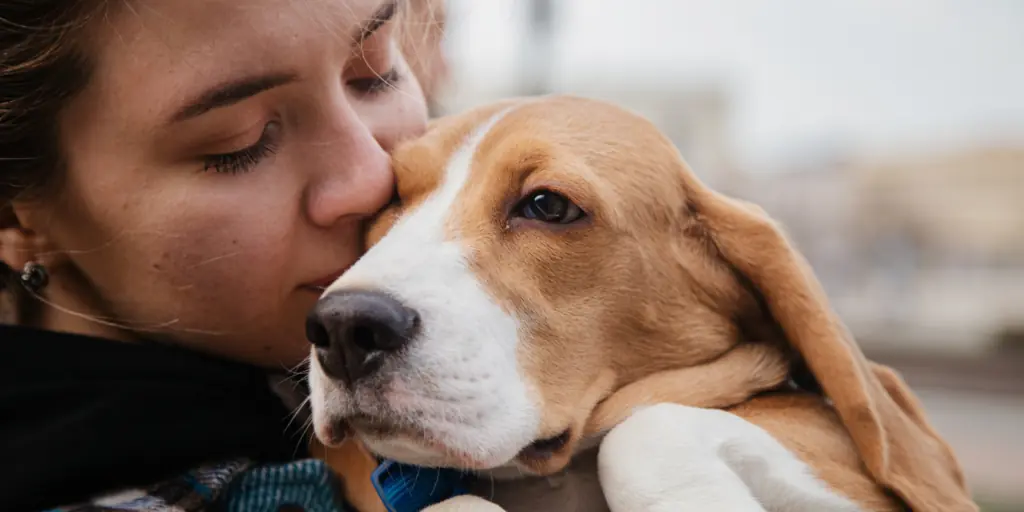 The Hidden Clause in Pet Insurance Policies That Could Cost You Thousands in Emergency Vet Bills