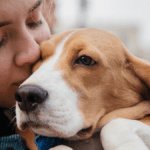 The Hidden Clause in Pet Insurance Policies That Could Cost You Thousands in Emergency Vet Bills