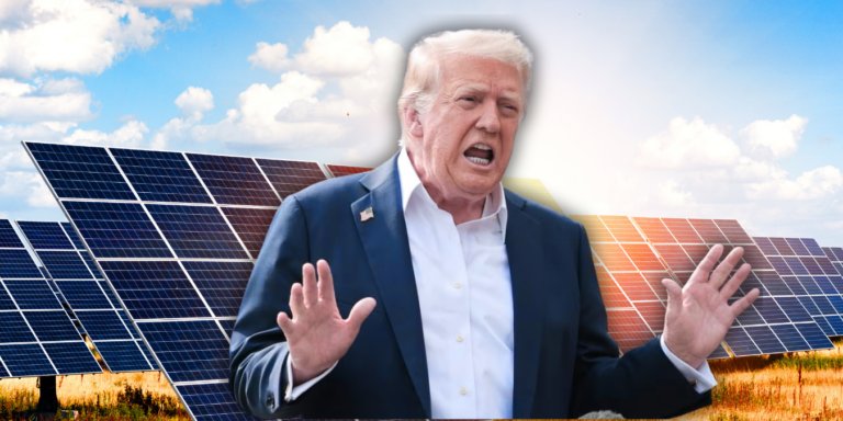 US Slaps 126% Tariff on Solar Panels — Is Waaree Energies the Biggest Loser Among Indian Solar Stocks?