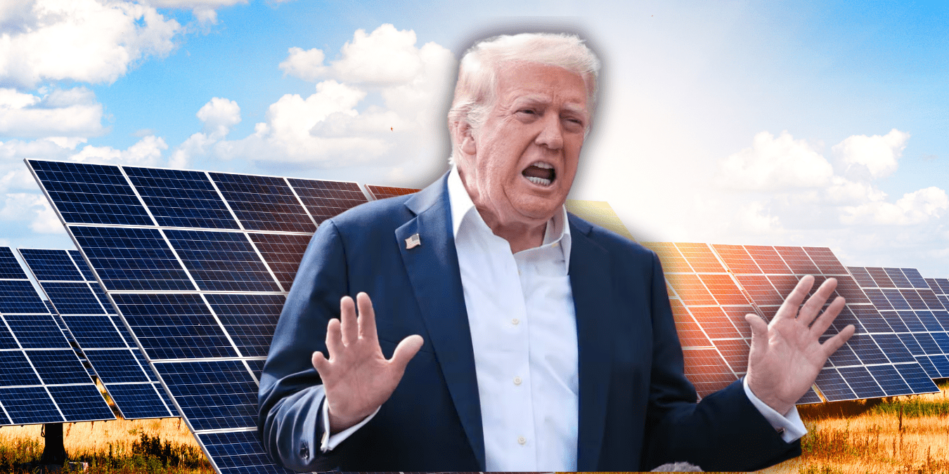 US Slaps 126% Tariff on Solar Panels — Is Waaree Energies the Biggest Loser Among Indian Solar Stocks?