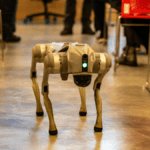 Galgotias University's "ORION" Robot Dog: What Really Happened at India's Biggest AI Summit?