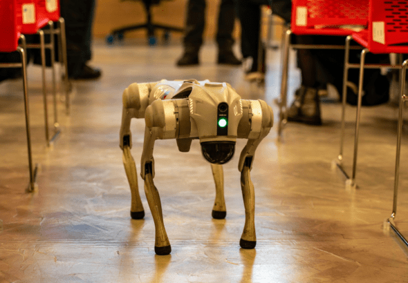 Galgotias University's "ORION" Robot Dog: What Really Happened at India's Biggest AI Summit?