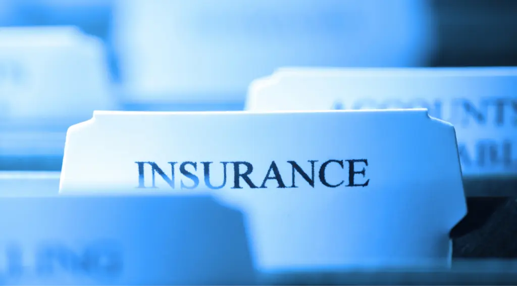 Most People Don't Know These Government-Backed Insurance Schemes Even Exist — Are You Covered?