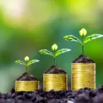Top 10 Mid Cap Mutual Funds With the Best 1-Year Returns in 2026—Which Fund Is Leading the Race?