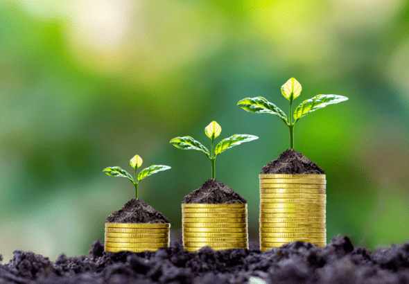 Top 10 Mid Cap Mutual Funds With the Best 1-Year Returns in 2026—Which Fund Is Leading the Race?