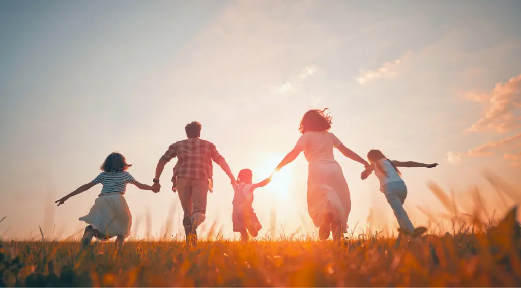 Top 20 Life Insurance Plans in India: A Detailed Review of Every Plan