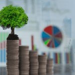 Why Are Small SIPs Shrinking While High-Value SIPs Grow — and What Should Your Monthly Amount Be?
