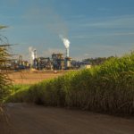 Sugar Stocks Just Had Their Best Week in Years. The Reason Is a Forecasting Error, Not a Boom