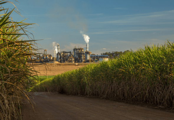 Sugar Stocks Just Had Their Best Week in Years. The Reason Is a Forecasting Error, Not a Boom